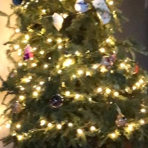 Meet your Posher, Antonella